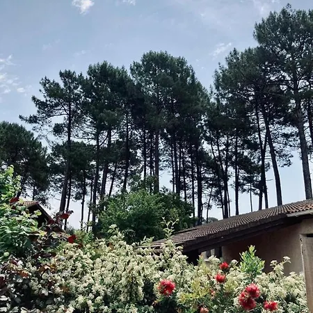 Maison Bassin D'Arcachon 6 Personnes Σπίτι διακοπών